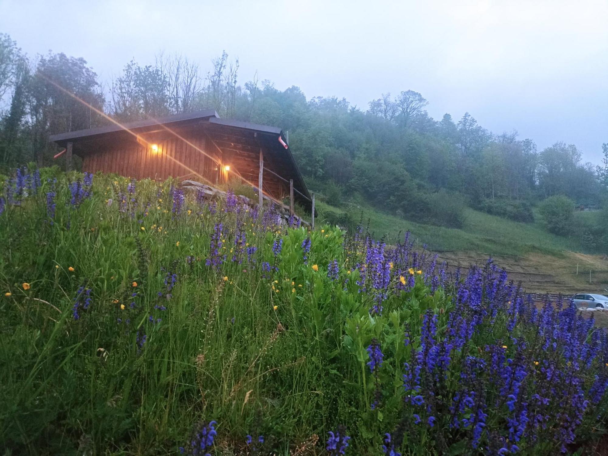 Agriturismo Cascina Cornella Cremeno Εξωτερικό φωτογραφία