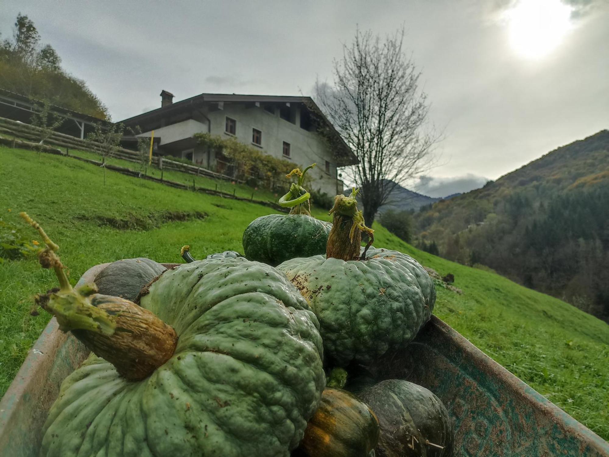 Agriturismo Cascina Cornella Cremeno Εξωτερικό φωτογραφία