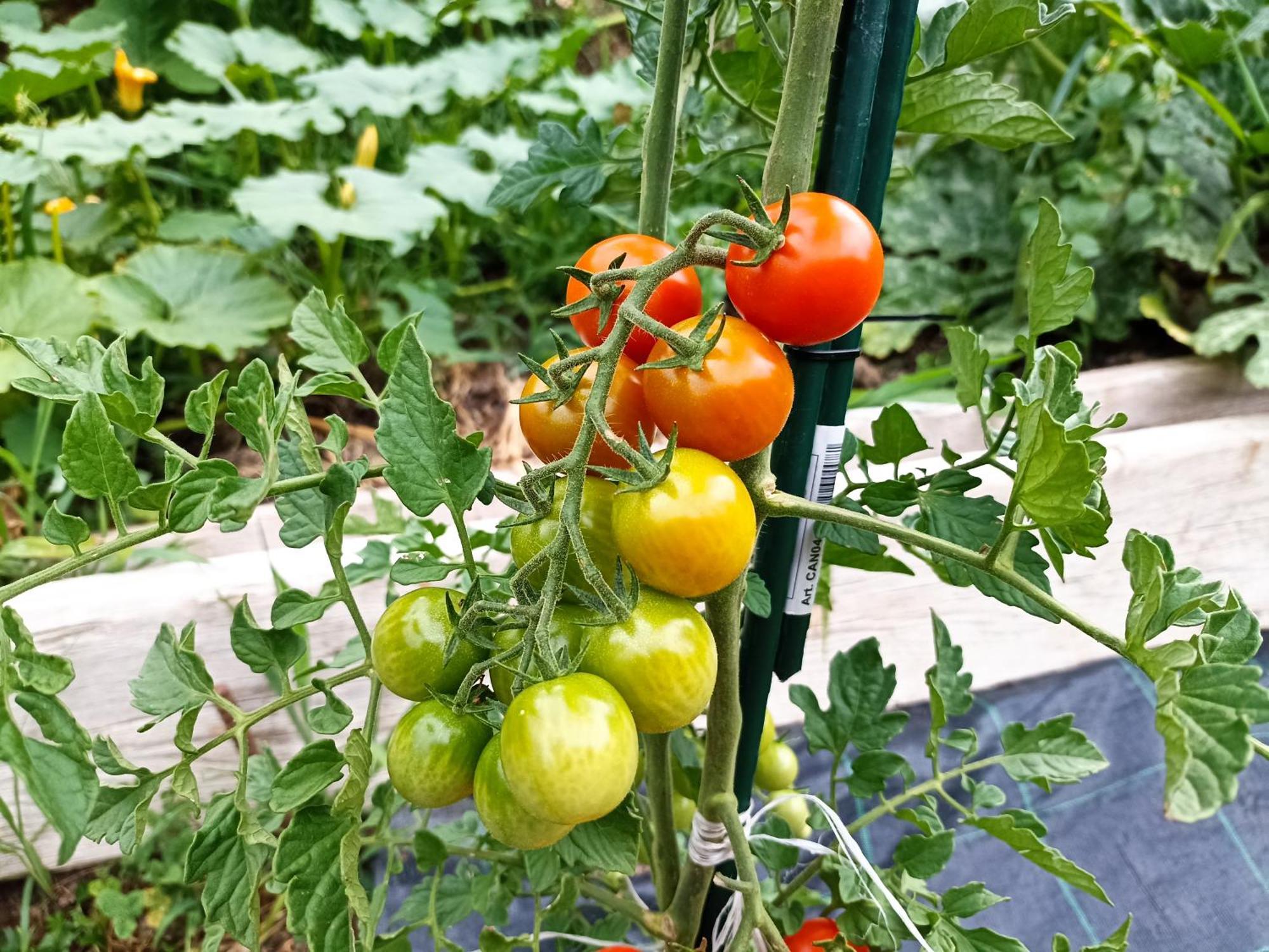 Agriturismo Cascina Cornella Cremeno Εξωτερικό φωτογραφία