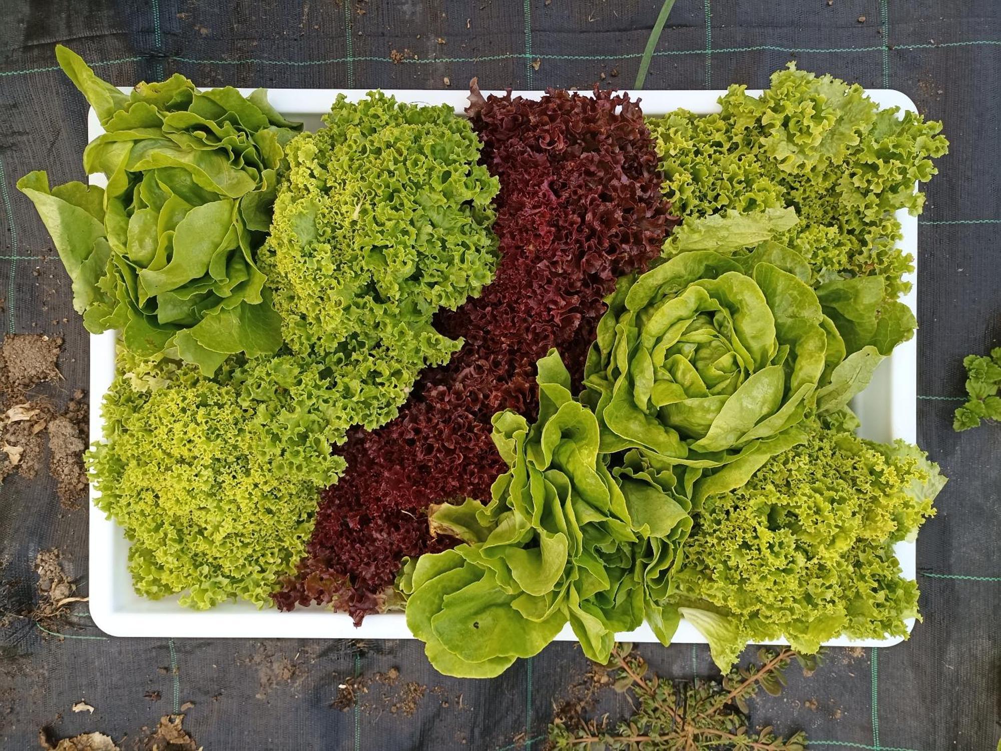 Agriturismo Cascina Cornella Cremeno Εξωτερικό φωτογραφία
