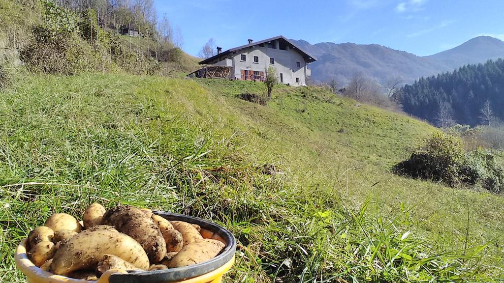 Agriturismo Cascina Cornella Cremeno Εξωτερικό φωτογραφία
