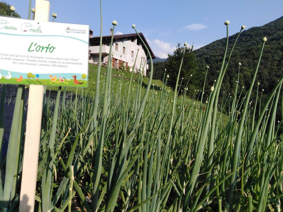 Agriturismo Cascina Cornella Cremeno Εξωτερικό φωτογραφία